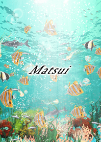 Matsui Coral & tropical fish2