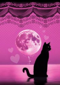 Love fulfillment pink moon and cat