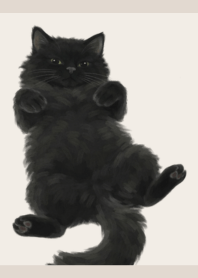 Black Cat White Light Brown