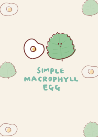 simple Macrophyll fried egg beige