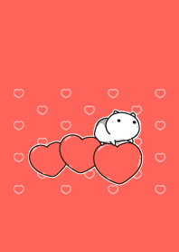 cat staring - 34 - love heart - 02