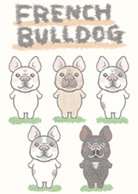 法國鬥牛犬是最可愛的