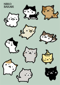 NEKOBAKARI GR