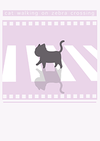 cat zebra crossing J-gray magenta (Pu03)