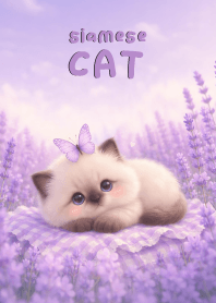 Cute siamese cat In Lavender
