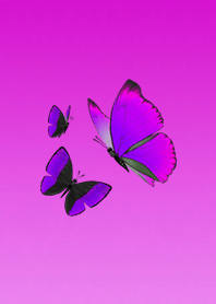 Fun butterfly