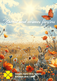 Rabbit and Cosmos