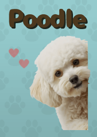 Tema Toy Poodle Green 07