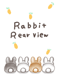 簡單 一隻兔子 後視圖