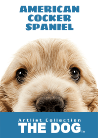 THE DOG アメリカン コッカー スパニエル 2