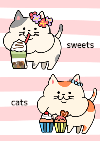 Very cute cats and sweets