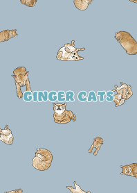gingercats3 / light steel blue