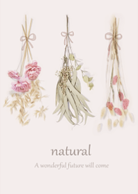 Dried flowers that sleep a little1.