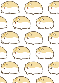 cute little round hamster
