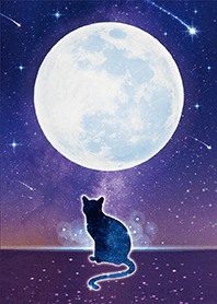 幸運をもたらす✨満月とネコ