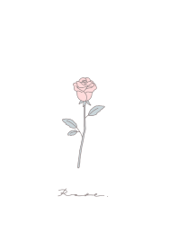 Rose / pink white