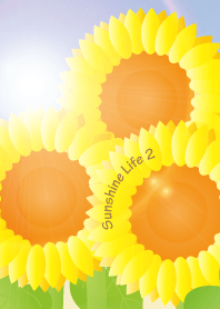 Sunshine Life 2