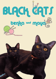 Black Cats brothers "TENKA & MAYA"