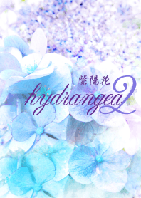 紫陽花×水彩2