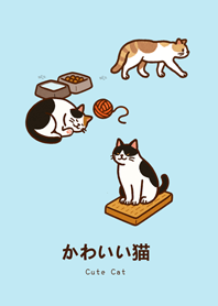 แมวของฉัน(น้ำสีฟ้า)