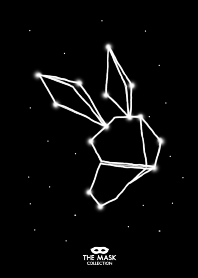 Kangaroo The Star