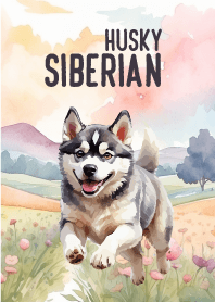 siberian husky In Flower Theme 3