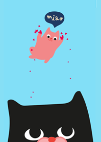 Lovely cats