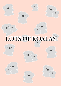 LOTS OF KOALAS/CORAL PINK