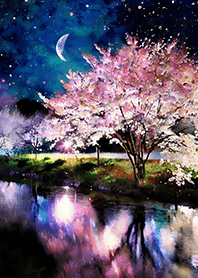 Beautiful night cherry blossoms#1447