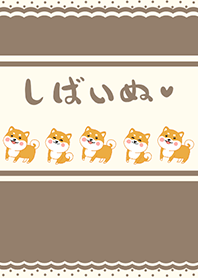 Shiba Inu-Brown (Be3)