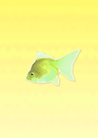 Lucky Goldfish Simple 13