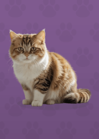 Cute Munchkin Theme Purple 05