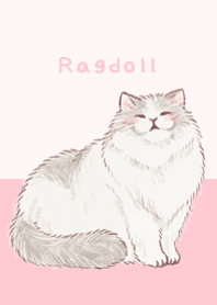 Ragdoll Theme