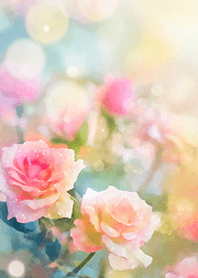 Beautiful rose flower(R1716)