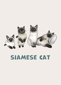 siamesecats3 - light cream