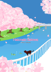 Cherry blossoms and cats [spring]