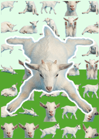 小山羊 黃綠色