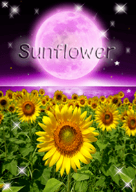 sunflower in the sky!13@SUMMER