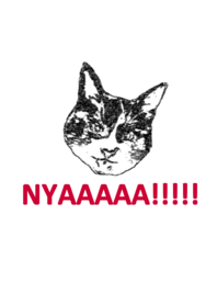 NYAAAAA!!!!!