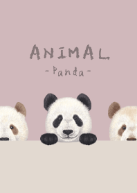 ANIMAL - パンダ - ドーンピンク