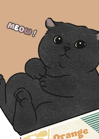 neko single18 / burly wood