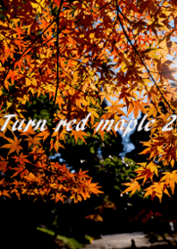 Turn red maple 2