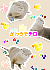 カワウソのチロ2