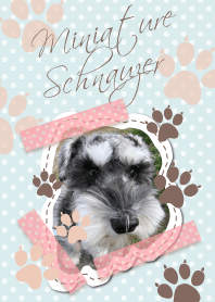 ฉันรักสุนัข: Miniature Schnauzer
