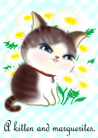 子猫ちゃんとマーガレットの花