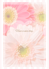 Pink Gerbera Theme -2021- 31