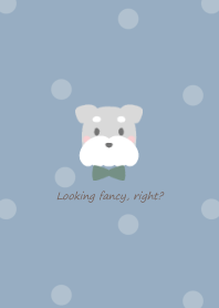 Schnauzer and ribbon -blue- 2 GR