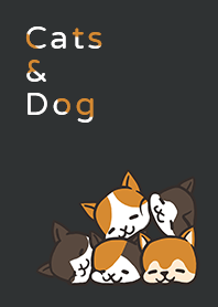 Dark Cats & Dog