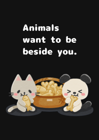 Animals want to be beside you.049-2Black