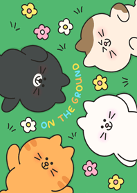 meow on the ground